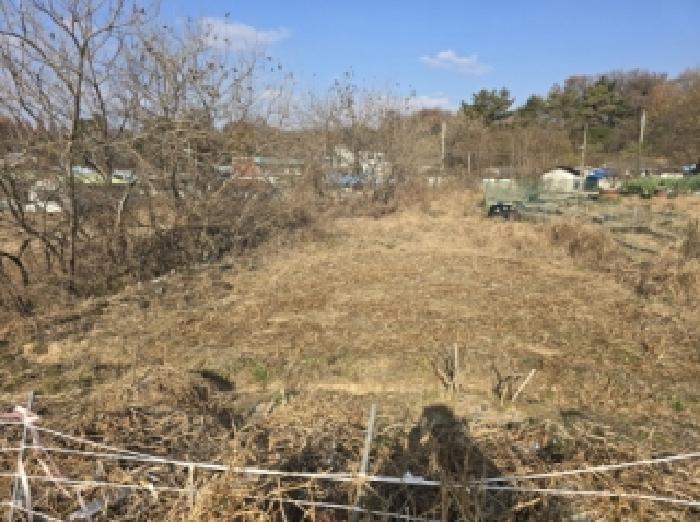 충북 청주시 흥덕구 강내면 단독주택 경매 물건 사진 2 · 2025타경52006