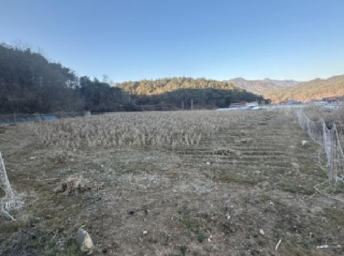 충북 괴산군 청천면 답 경매 물건 사진