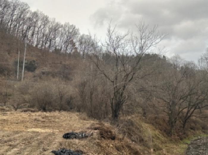 충북 괴산군 괴산읍 전 경매 물건 사진