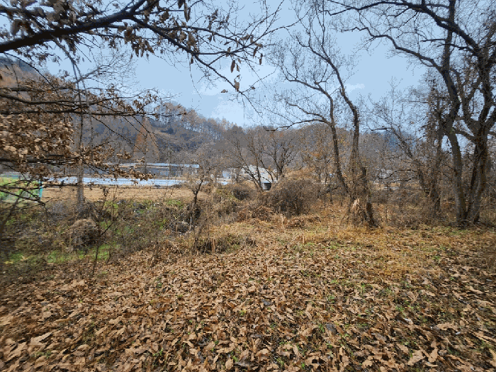 충북 괴산군 괴산읍 전 경매 물건 사진 2 · 2025타경52030