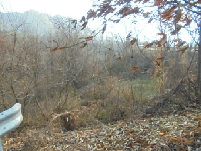 충북 보은군 삼승면 임야 경매 물건 사진