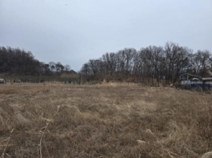 충북 진천군 덕산읍 답 경매 물건 사진 4 · 2025타경52137