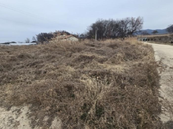 충북 진천군 덕산읍 답 경매 물건 사진