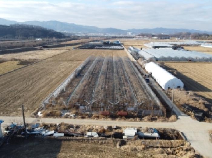 충북 진천군 이월면 답 경매 물건 사진 2 · 2025타경52141