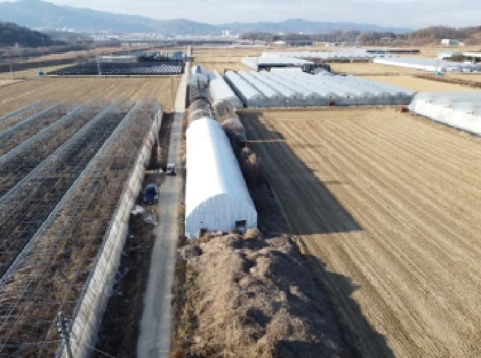 충북 진천군 이월면 답 경매 물건 사진 3 · 2025타경52141
