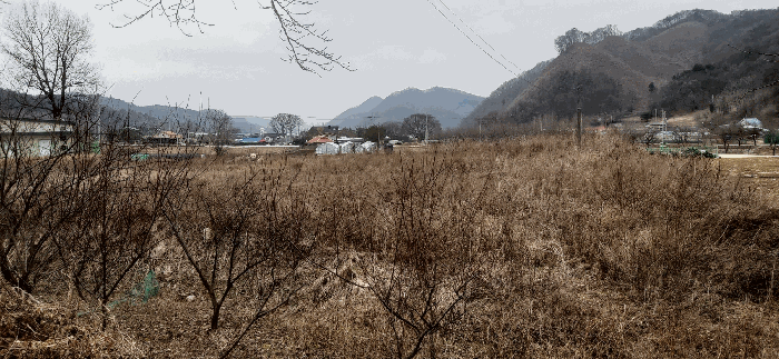 충북 괴산군 청안면 답 경매 물건 사진 4 · 2025타경52156