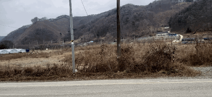 충북 괴산군 청안면 답 경매 물건 사진 6 · 2025타경52156