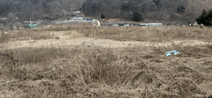 충북 괴산군 청안면 답 경매 물건 사진 2 · 2025타경52156