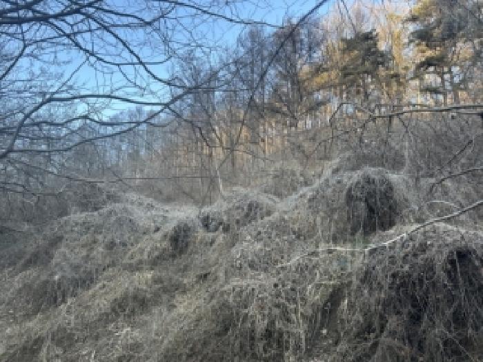 충북 청주시 상당구 미원면 전 경매 물건 사진