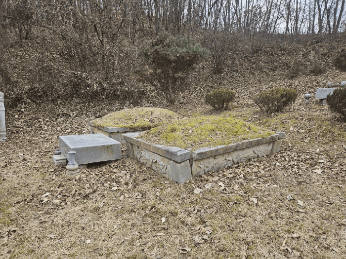 충북 괴산군 문광면 전 경매 물건 사진 4 · 2025타경52179