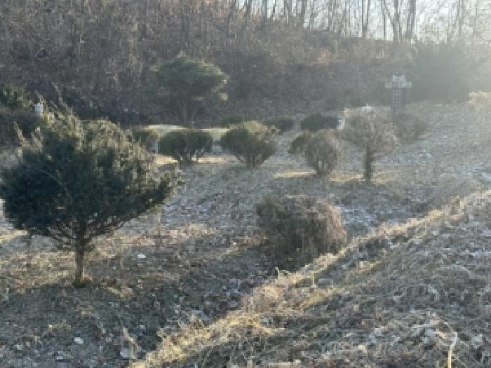 충북 괴산군 문광면 전 경매 물건 사진