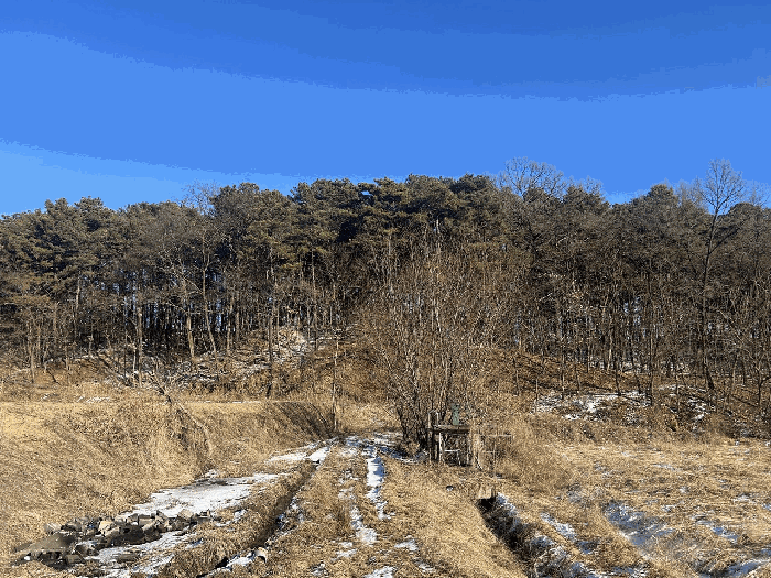 충청북도 청주시 흥덕구 동막동 산46 임야 경매 물건 사진