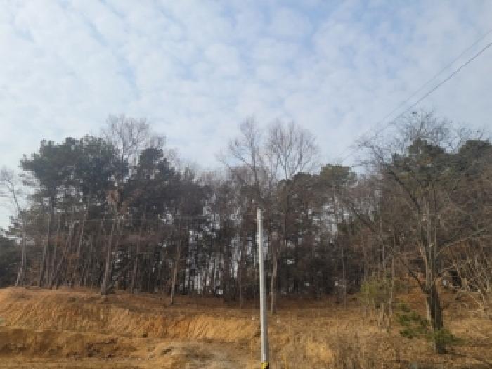 충북 청주시 흥덕구 동막동 임야 경매 물건 사진