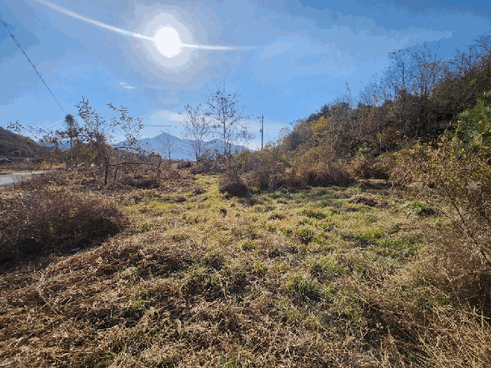충청북도 괴산군 칠성면 두천리 산20-8 도로 경매 물건 사진