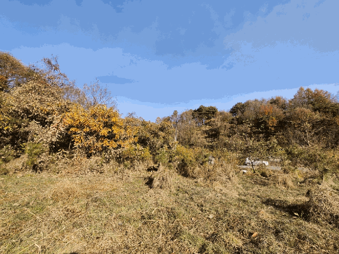 충북 괴산군 칠성면 도로 경매 물건 사진 5 · 2025타경5332