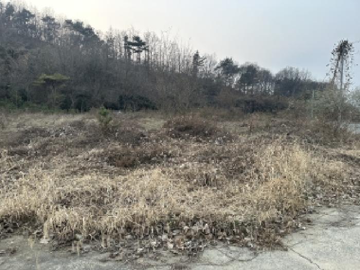 충북 괴산군 칠성면 도로 경매 물건 사진