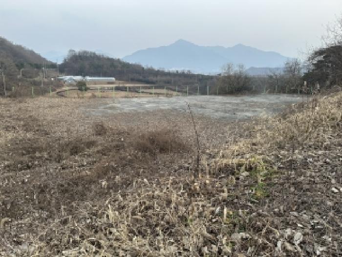 충북 괴산군 칠성면 도로 경매 물건 사진 2 · 2025타경5332
