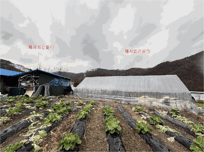 충청북도 괴산군 문광면 옥성리 394-1 전 경매 물건 사진