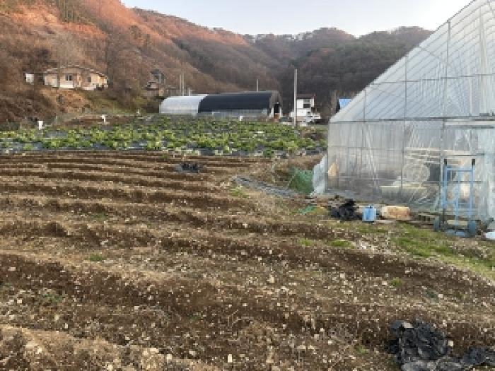 충북 괴산군 문광면 전 경매 물건 사진