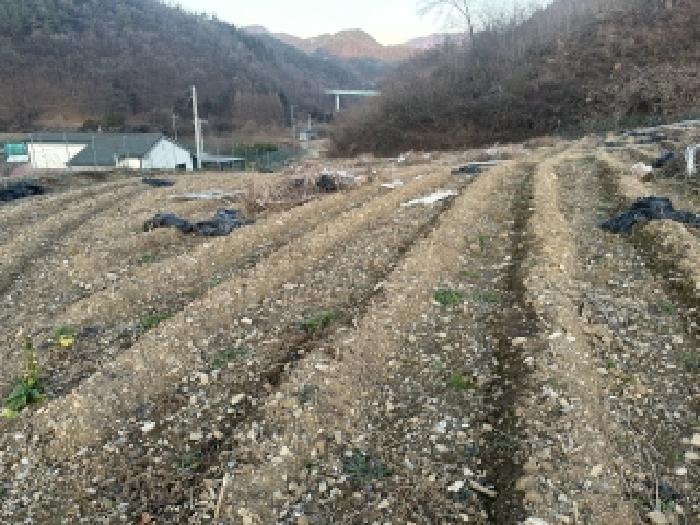 충북 괴산군 문광면 전 경매 물건 사진 2 · 2025타경5363