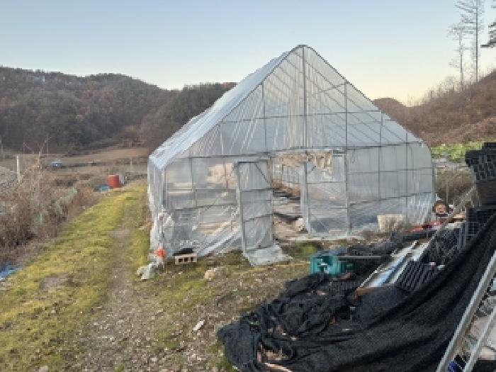 충북 괴산군 문광면 전 경매 물건 사진 5 · 2025타경5363