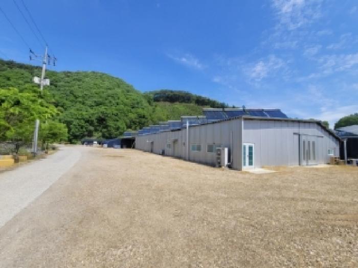충북 괴산군 청천면 답 경매 물건 사진