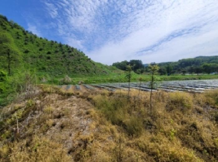 충북 괴산군 청천면 답 경매 물건 사진 2 · 2025타경5585