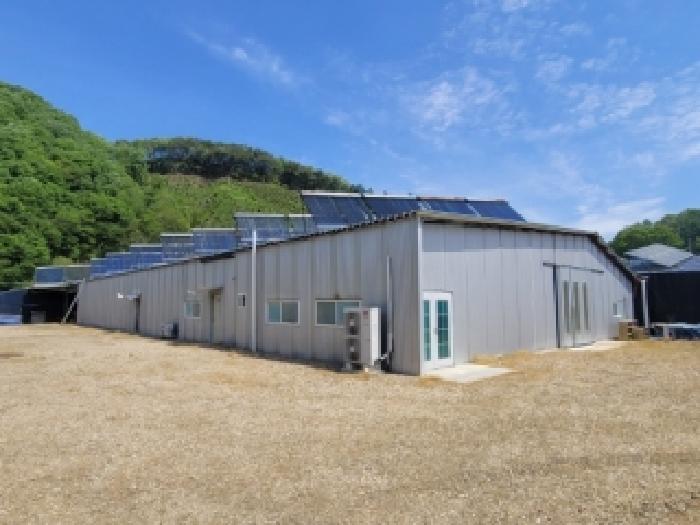 충북 괴산군 청천면 답 경매 물건 사진 6 · 2025타경5585