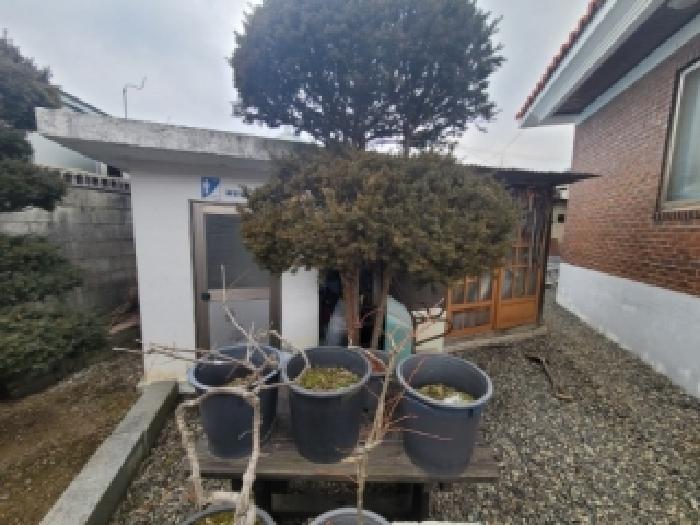 충청북도 괴산군 청천면 청천리 57-4 단독주택 경매 물건 사진