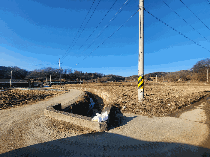 충북 괴산군 사리면 답 경매 물건 사진 5 · 2025타경6021