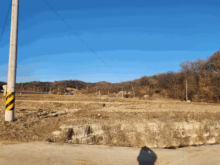 충북 괴산군 사리면 답 경매 물건 사진 6 · 2025타경6021