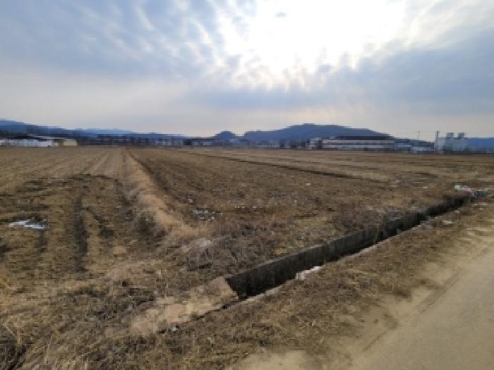 충북 괴산군 사리면 답 경매 물건 사진 2 · 2025타경6021