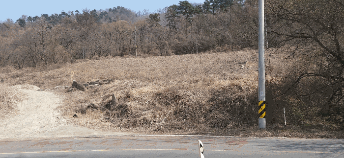 충북 청주시 청원구 내수읍 임야 경매 물건 사진 5 · 2026타경104