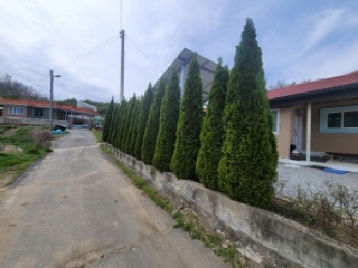 충북 괴산군 사리면 단독주택다가구 경매 물건 사진