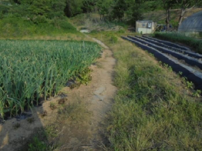 충북 청주시 흥덕구 강내면 대지 경매 물건 사진