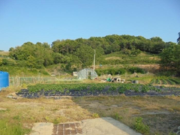 충북 청주시 흥덕구 강내면 대지 경매 물건 사진 4 · 2026타경157