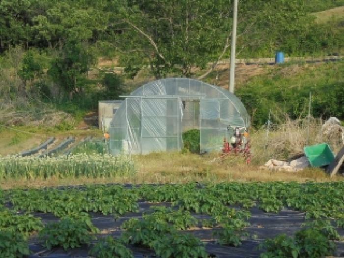 충북 청주시 흥덕구 강내면 대지 경매 물건 사진 5 · 2026타경157