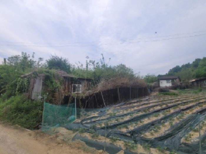 충북 청주시 청원구 내수읍 잡종지 경매 물건 사진 2 · 2026타경174