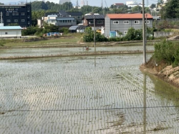 충북 청주시 흥덕구 지동동 전답 경매 물건 사진