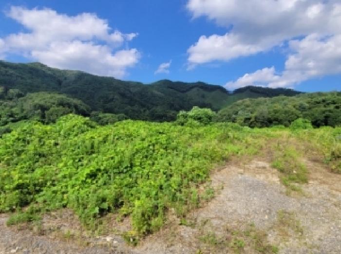 충북 청주시 상당구 가덕면 전답 경매 물건 사진