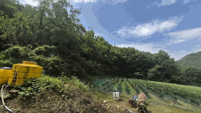 충북 보은군 마로면 전 경매 물건 사진 6 · 2026타경276