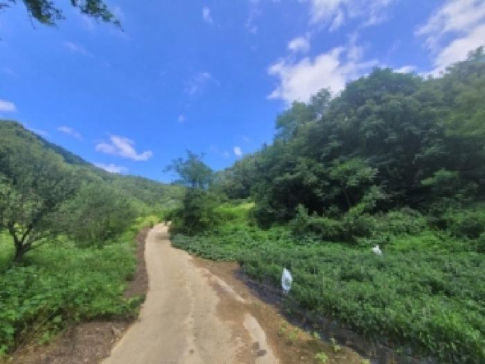 충북 보은군 마로면 전 경매 물건 사진