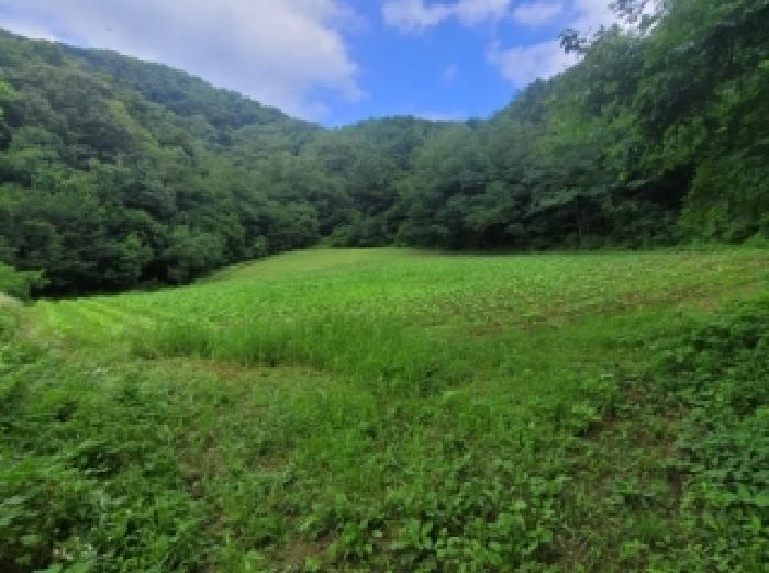 충북 보은군 마로면 전 경매 물건 사진 2 · 2026타경276
