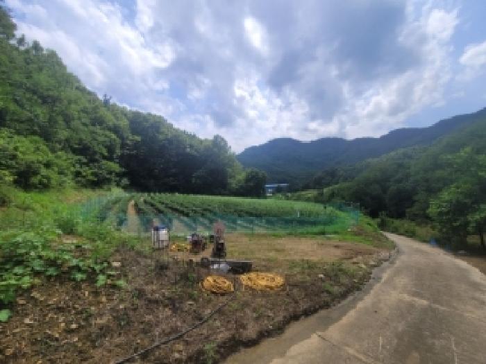 충북 보은군 마로면 전 경매 물건 사진 3 · 2026타경276
