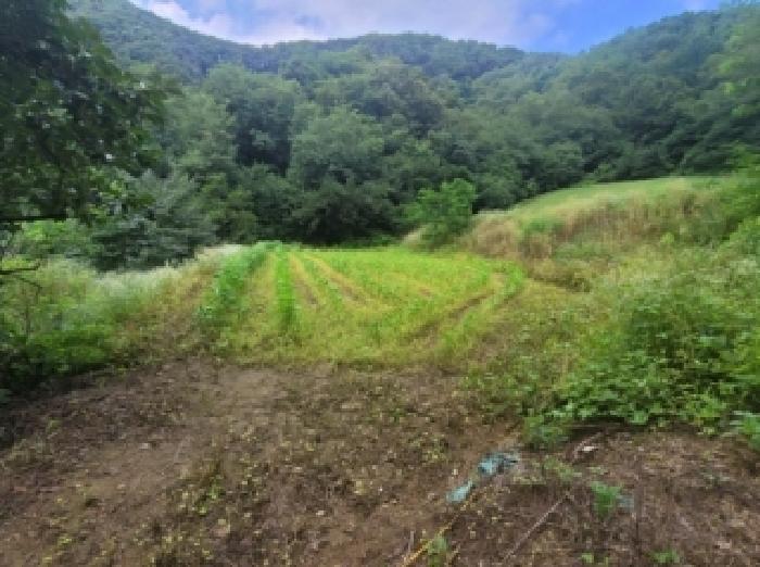 충북 보은군 마로면 전 경매 물건 사진 4 · 2026타경276