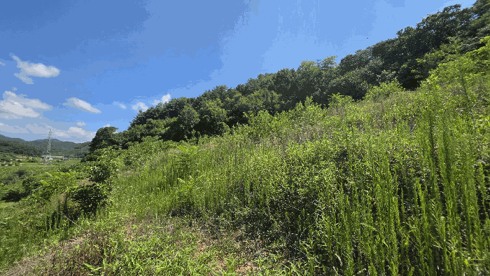 충북 괴산군 불정면 대지,임야,전답 경매 물건 사진 6 · 2026타경295