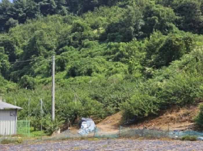 충북 괴산군 불정면 대지,임야,전답 경매 물건 사진