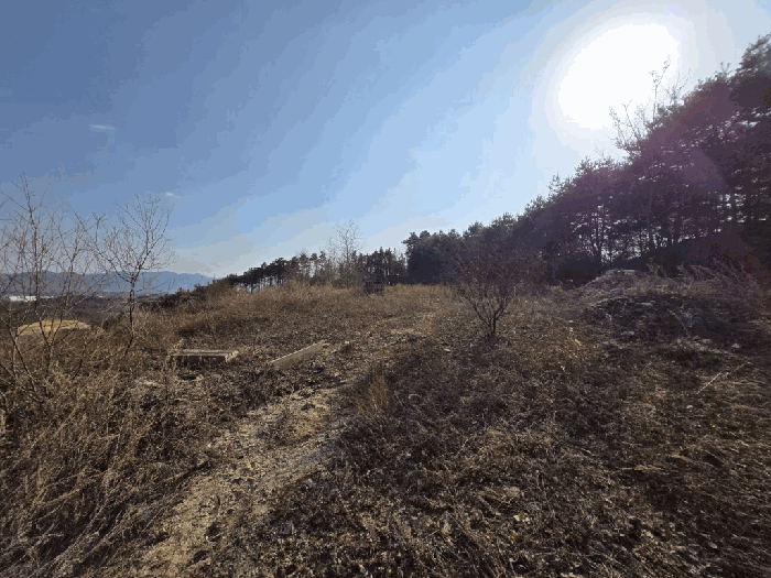충북 증평군 도안면 임야 경매 물건 사진 5 · 2026타경43