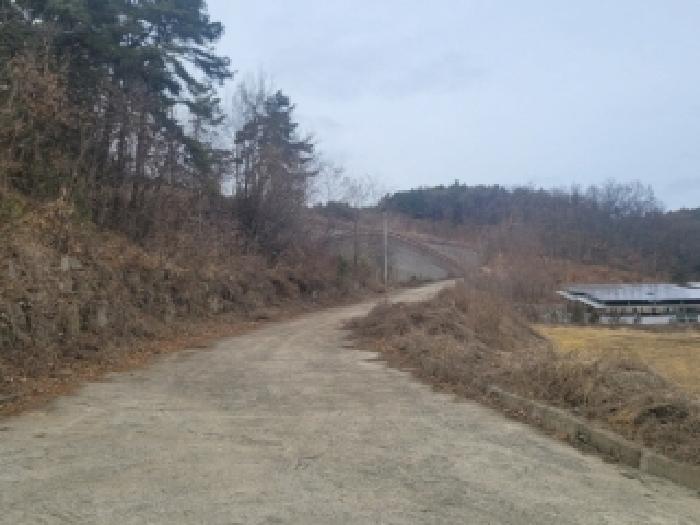 충북 증평군 도안면 임야 경매 물건 사진
