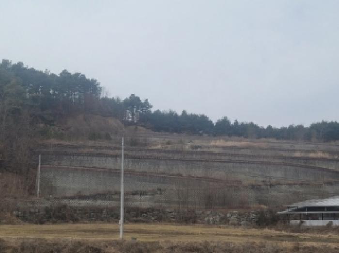 충북 증평군 도안면 임야 경매 물건 사진 2 · 2026타경43